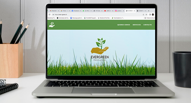 Sitio web EVER-GREEN